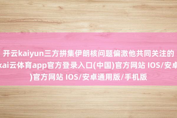 开云kaiyun三方拼集伊朗核问题偏激他共同关注的问题交换宗旨-kai云体育app官方登录入口(中国)官方网站 IOS/安卓通用版/手机版