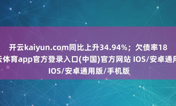 开云kaiyun.com同比上升34.94%；欠债率18.02%-kai云体育app官方登录入口(中国)官方网站 IOS/安卓通用版/手机版