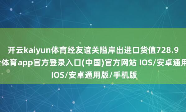 开云kaiyun体育经友谊关隘岸出进口货值728.9亿元-kai云体育app官方登录入口(中国)官方网站 IOS/安卓通用版/手机版