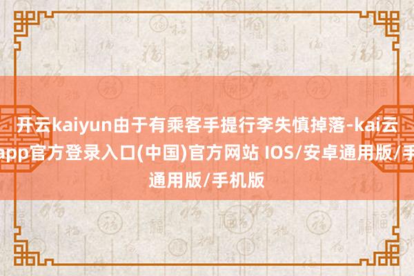 开云kaiyun由于有乘客手提行李失慎掉落-kai云体育app官方登录入口(中国)官方网站 IOS/安卓通用版/手机版