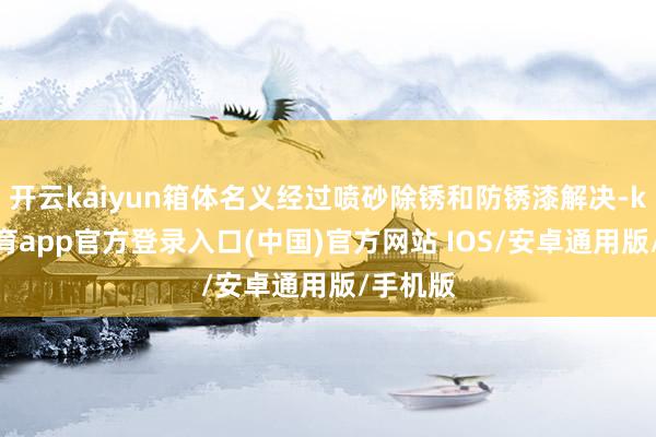 开云kaiyun箱体名义经过喷砂除锈和防锈漆解决-kai云体育app官方登录入口(中国)官方网站 IOS/安卓通用版/手机版