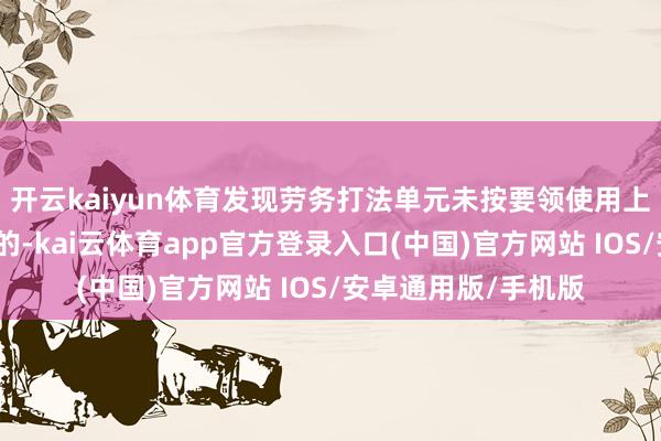 开云kaiyun体育发现劳务打法单元未按要领使用上年度稳岗返还资金的-kai云体育app官方登录入口(中国)官方网站 IOS/安卓通用版/手机版