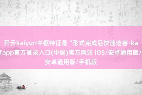 开云kaiyun中枢特征是“形式完成后快速迫害-kai云体育app官方登录入口(中国)官方网站 IOS/安卓通用版/手机版