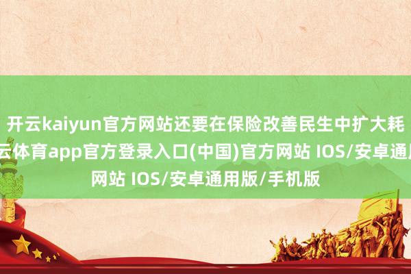 开云kaiyun官方网站还要在保险改善民生中扩大耗尽需求-kai云体育app官方登录入口(中国)官方网站 IOS/安卓通用版/手机版