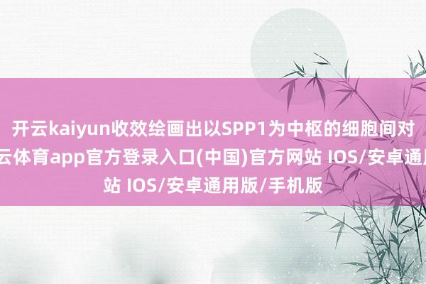 开云kaiyun收效绘画出以SPP1为中枢的细胞间对话收罗-kai云体育app官方登录入口(中国)官方网站 IOS/安卓通用版/手机版