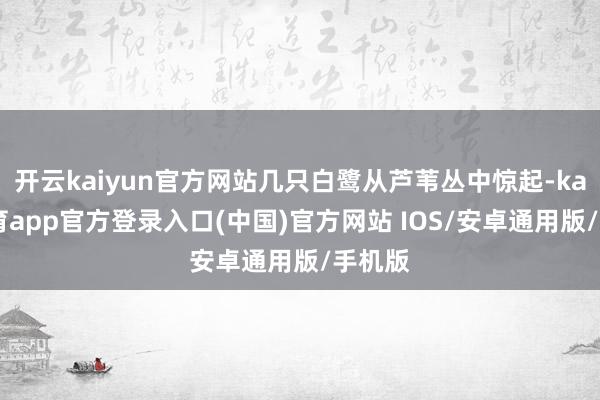 开云kaiyun官方网站几只白鹭从芦苇丛中惊起-kai云体育app官方登录入口(中国)官方网站 IOS/安卓通用版/手机版