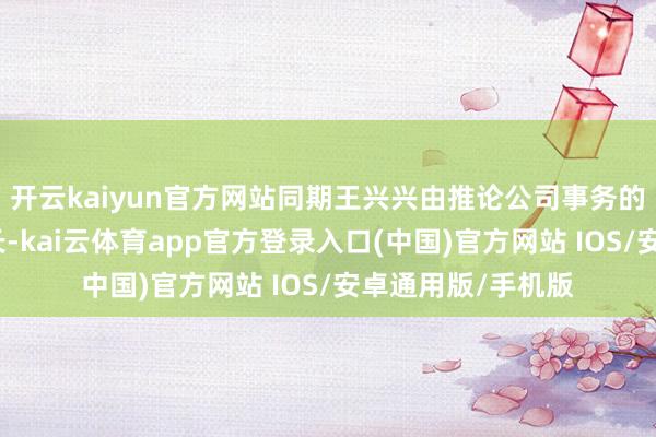 开云kaiyun官方网站同期王兴兴由推论公司事务的董事变更为董事长-kai云体育app官方登录入口(中国)官方网站 IOS/安卓通用版/手机版